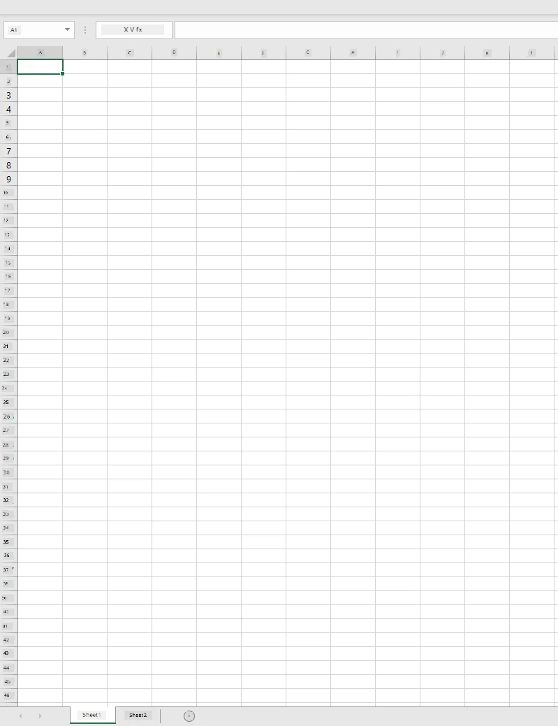 An empty Microsoft Excel workbook with two worksheets