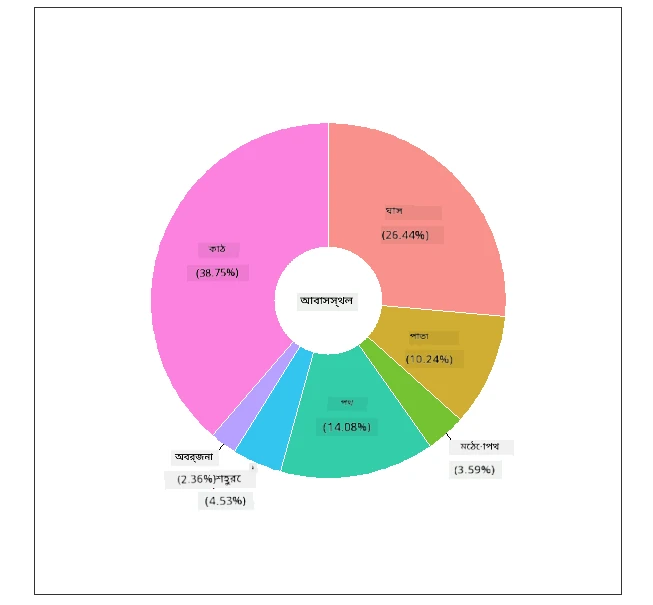 donut chart