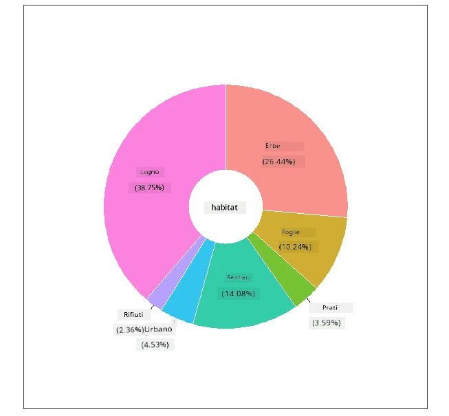 grafico a ciambella