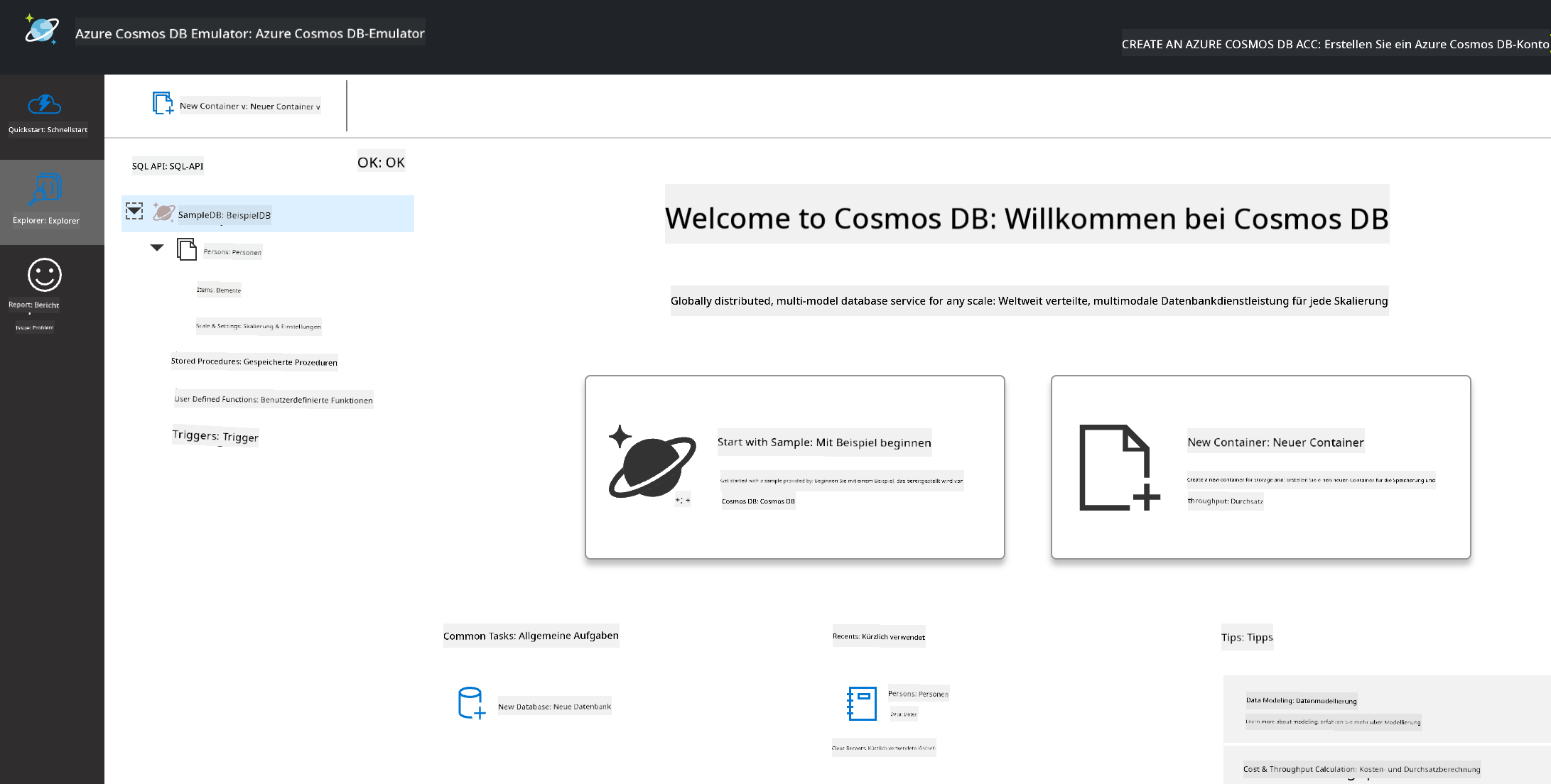 Die Explorer-Ansicht des Cosmos DB Emulators