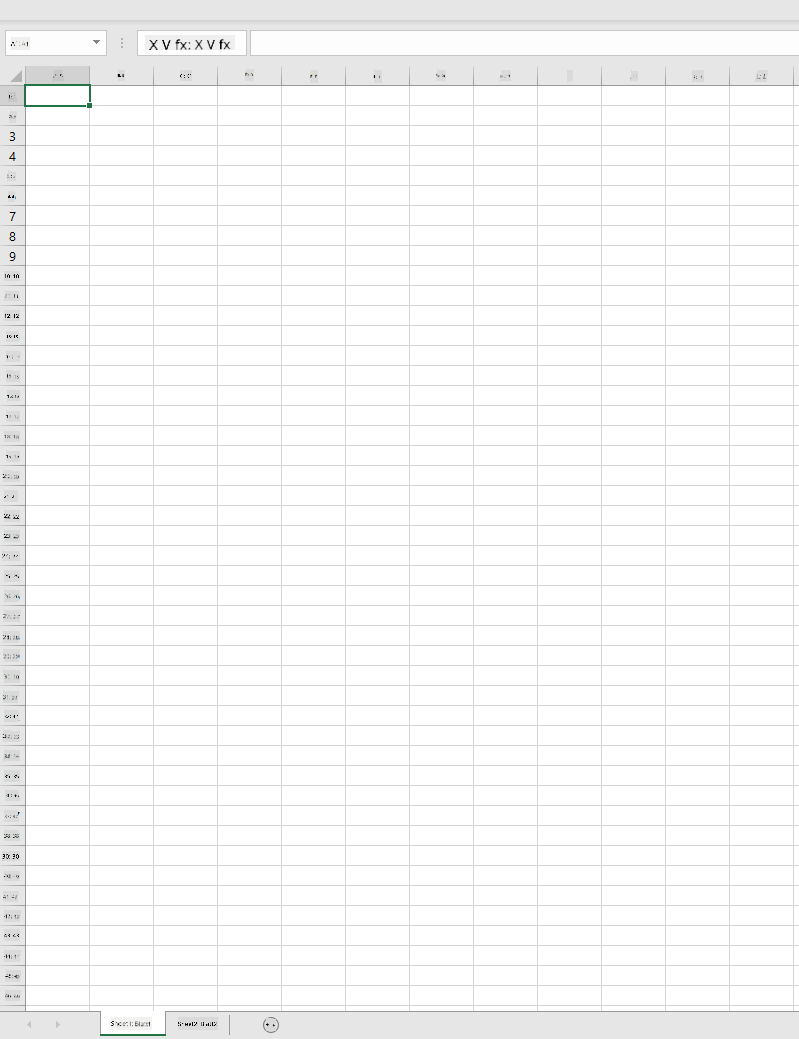Eine leere Microsoft Excel-Arbeitsmappe mit zwei Arbeitsblättern