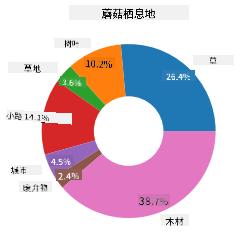 环形图