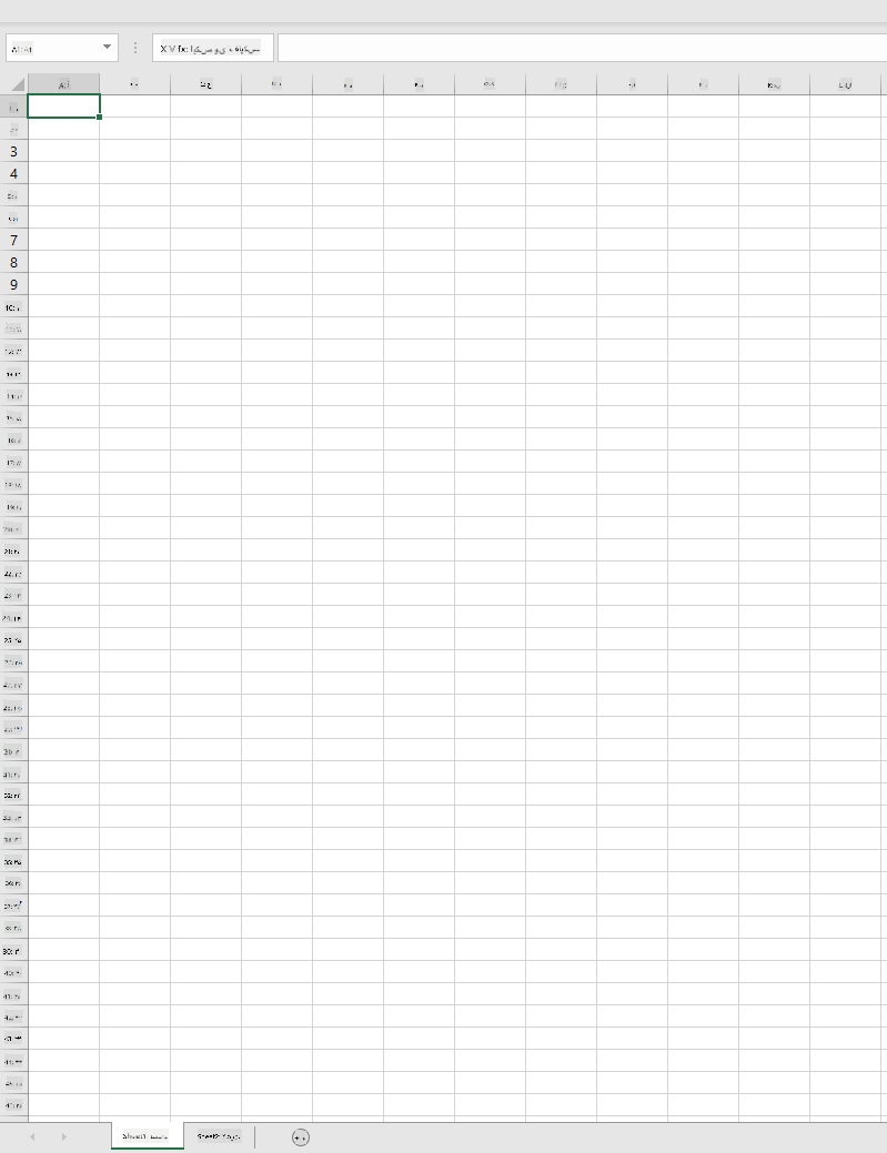 یک دفتر کار خالی در Microsoft Excel با دو برگه