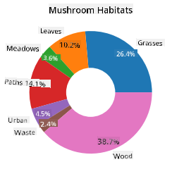 donut chart