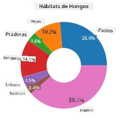 gráfico de dona