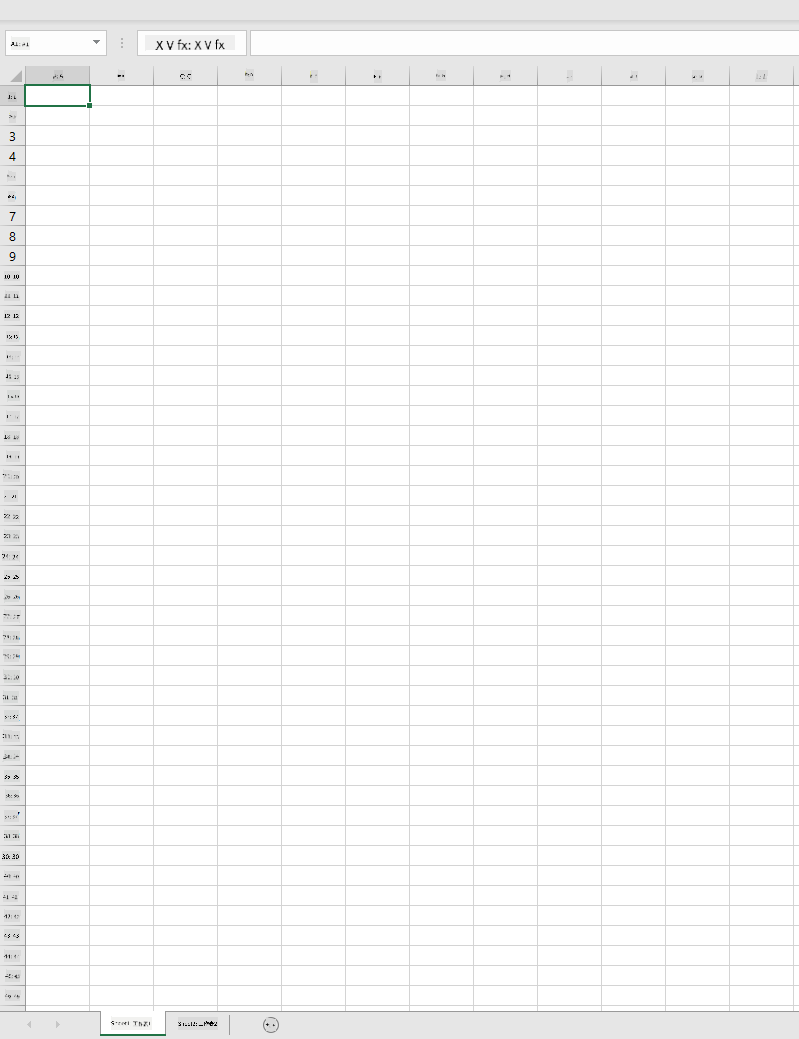 一個空的 Microsoft Excel 工作簿,包含兩個工作表