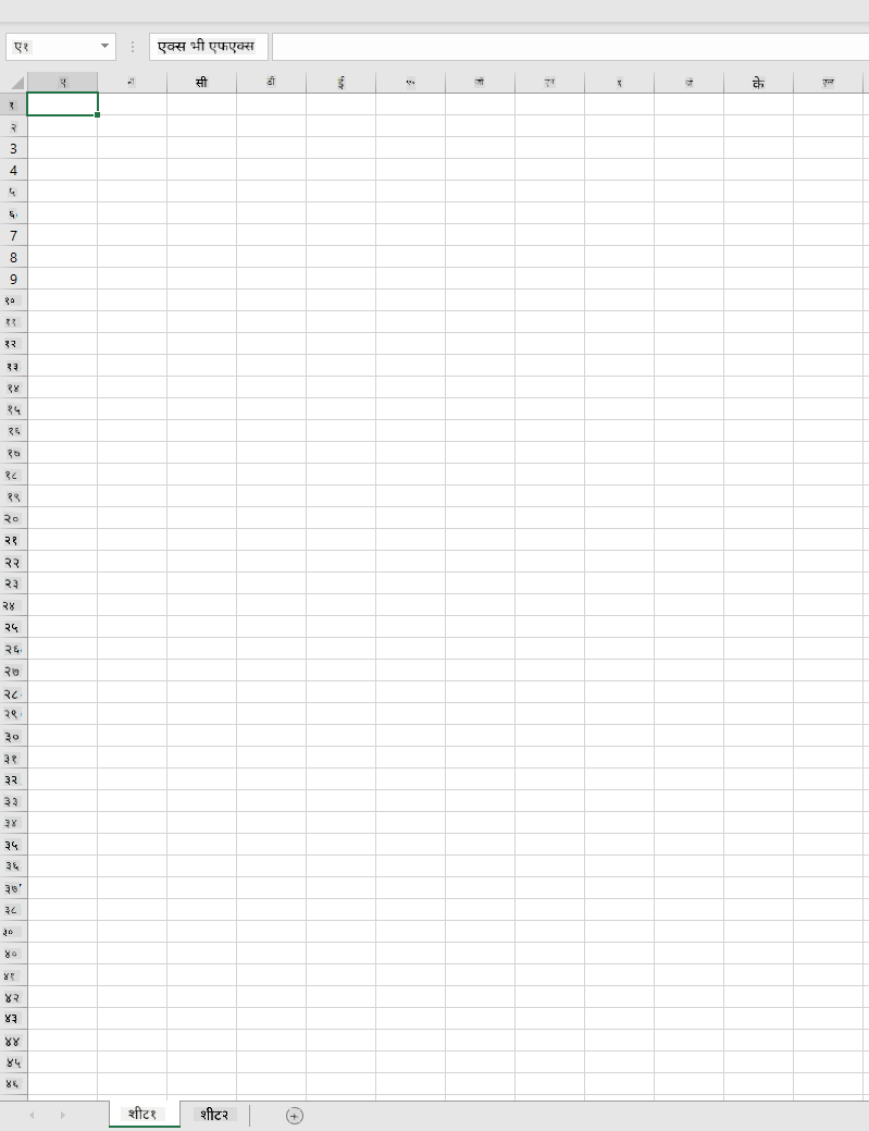 दुई वर्कशीटहरू भएको खाली Microsoft Excel वर्कबुक
