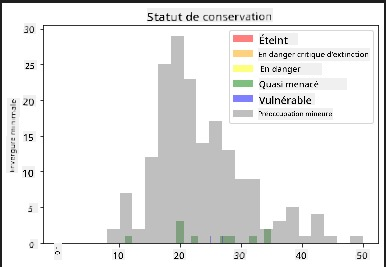 collation envergure et conservation