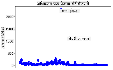 आउटलायर