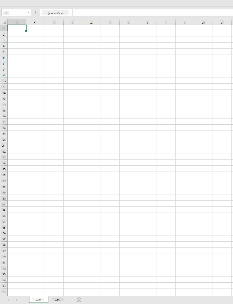 دفتر عمل فارغ في Microsoft Excel يحتوي على ورقتي عمل