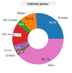 diagram donat