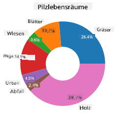 Donut-Diagramm