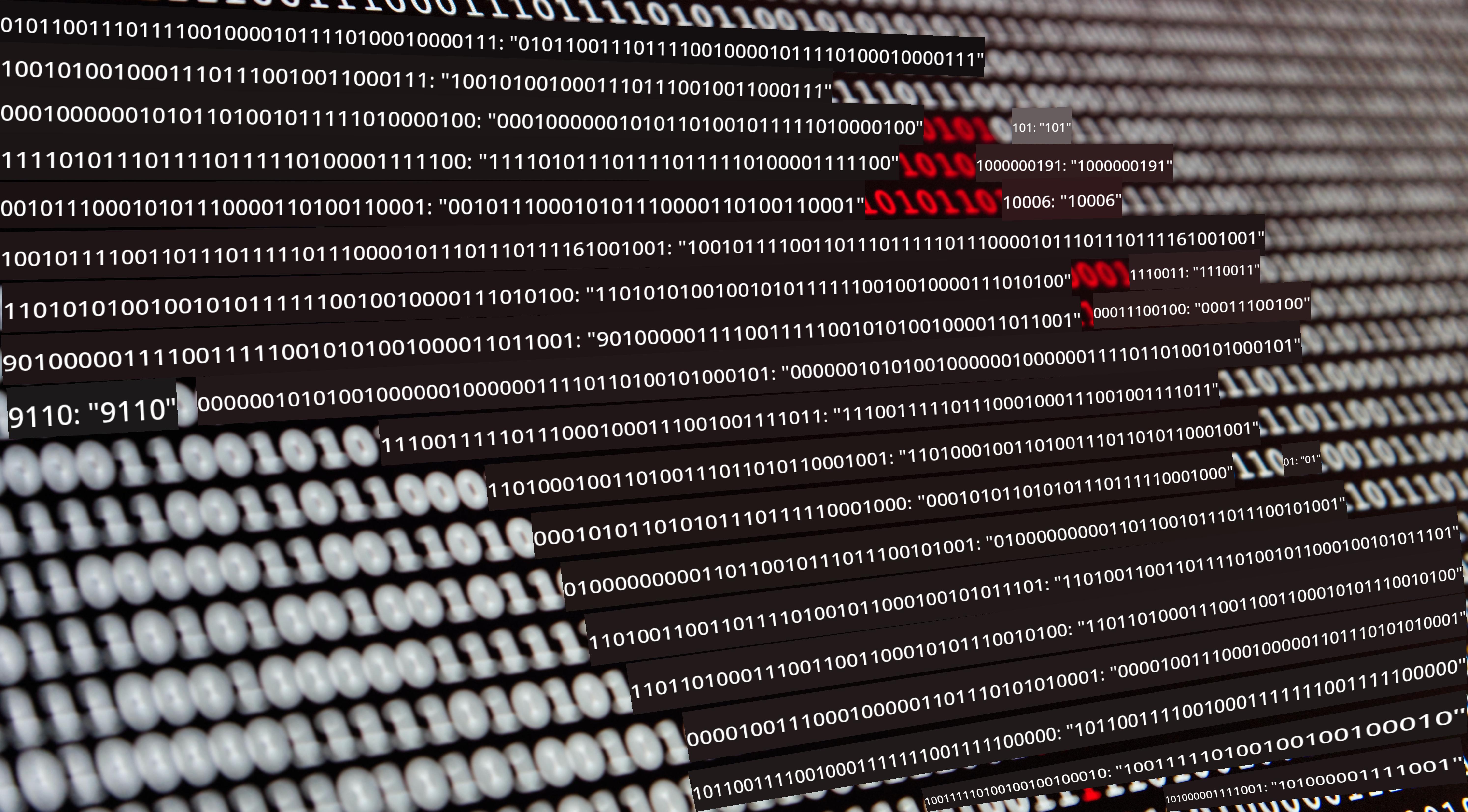 amor por los datos