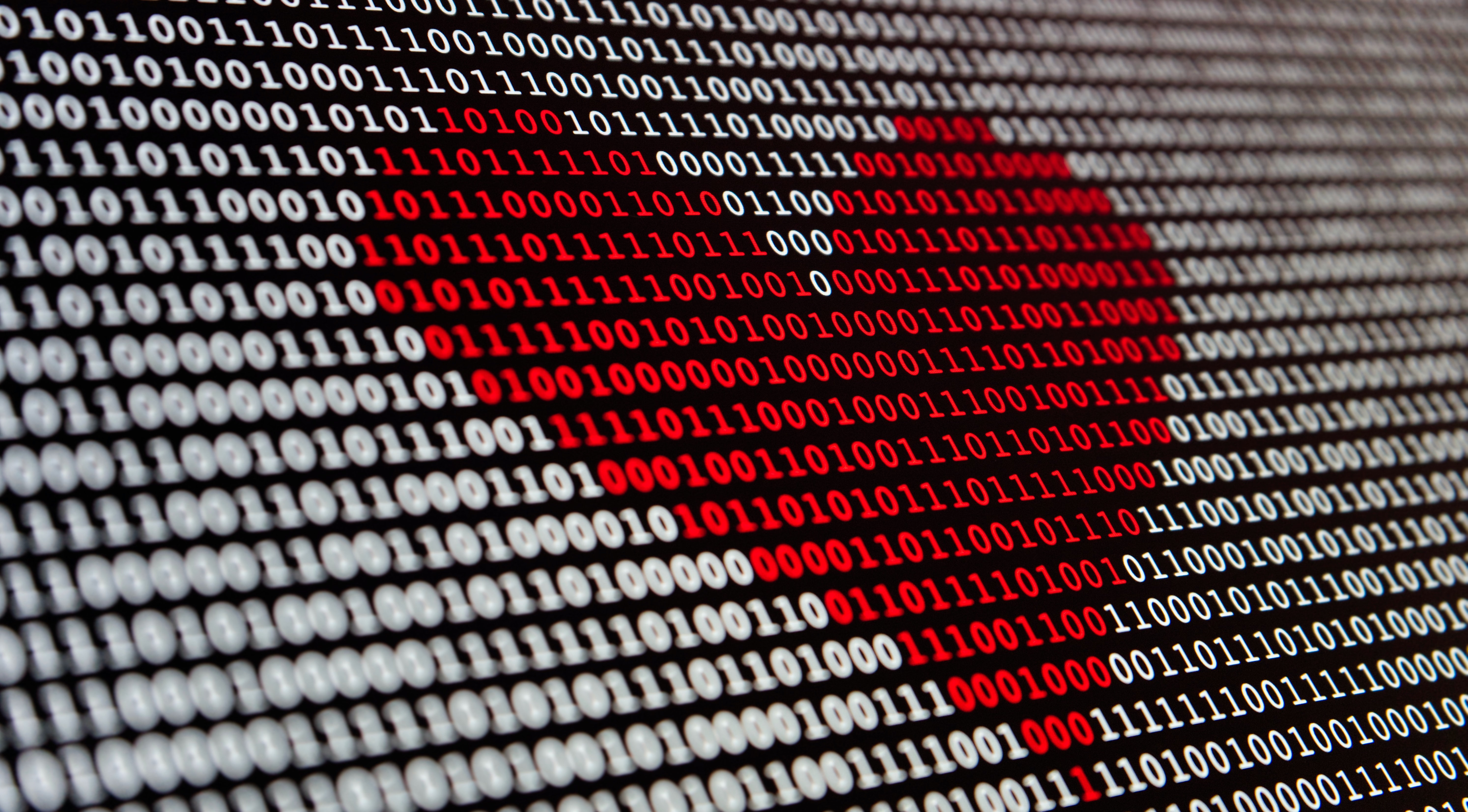 Amor por los datos