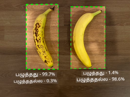 2 வாழைப்பழங்கள், ஒன்று முழுமையாக பழுத்தது 99.7% முழுமையாக பழுத்தது, 0.3% முழுமையாக பழுத்ததில்லை என்று கணிக்கிறது, மற்றொன்று முழுமையாக பழுத்ததில்லை 1.4% முழுமையாக பழுத்தது, 98.6% முழுமையாக பழுத்ததில்லை என்று கணிக்கிறது
