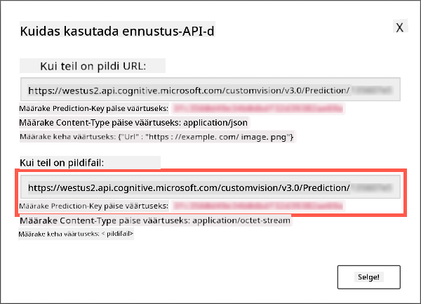 Ennustuse API dialoog, mis näitab URL-i ja võtit