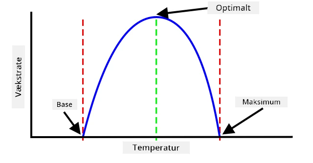 En graf, der viser væksthastigheden stige, når temperaturen stiger, og derefter falde, når temperaturen bliver for høj