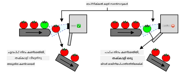 ഒരു ചുവപ്പ് തക്കാളി തിരിച്ചറിയുമ്പഴെ അത് തുടരുന്നു. പച്ച തക്കാളി തിരിച്ചറിയുമ്പോൾ അത് ലെവറിലൂടെ കളയുന്നു
