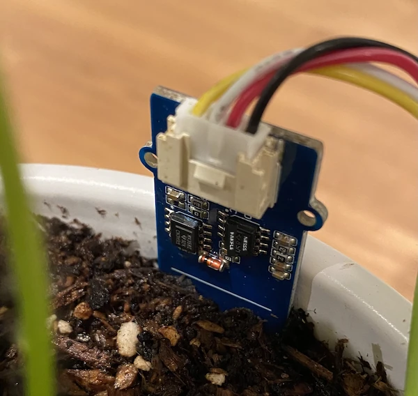 O sensor Grove de humidade do solo na terra