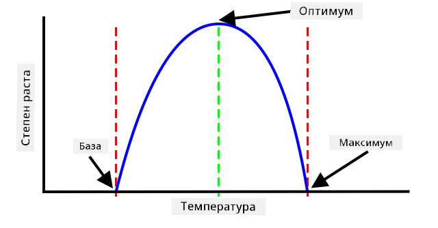 Графикон који приказује како стопа раста расте са температуром, а затим опада када температура постане превисока