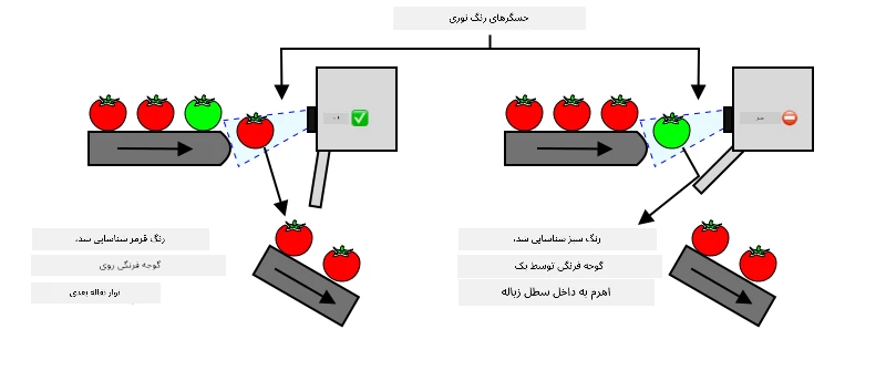 اگر یک گوجهفرنگی قرمز شناسایی شود، بدون وقفه به مسیر خود ادامه میدهد. اگر یک گوجهفرنگی سبز شناسایی شود، با یک اهرم به داخل سطل زباله پرتاب میشود