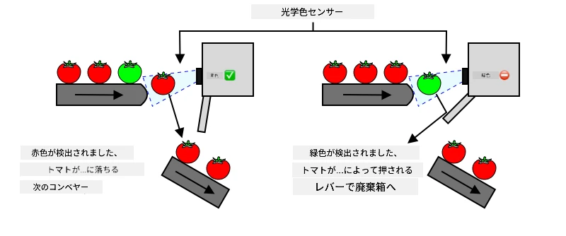 赤いトマトが検出されるとそのまま進み、緑のトマトが検出されるとレバーで廃棄箱に弾かれる
