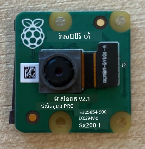 កាមេរ៉ា Raspberry Pi