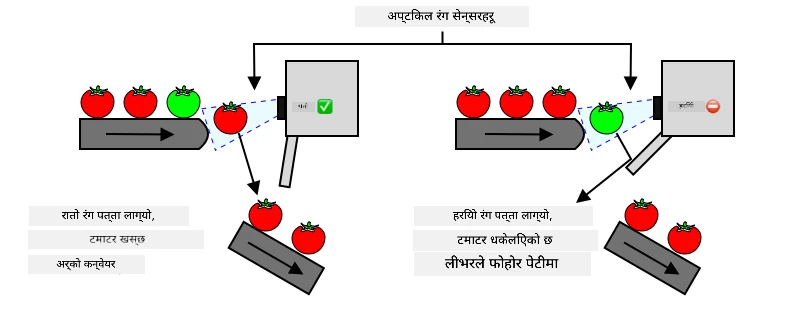 यदि रातो टमाटर पत्ता लाग्यो भने यो अवरोध नगरी आफ्नो यात्रा जारी राख्छ। यदि हरियो टमाटर पत्ता लाग्यो भने यो एक लिभरद्वारा फालेर फोहोरको डिब्बामा पठाइन्छ।