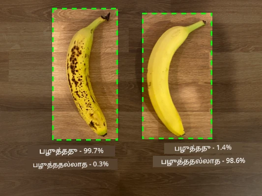2 வாழைப்பழங்கள், ஒன்று முழுமையாக பழுத்தது 99.7% முழுமையாக பழுத்தது, 0.3% முழுமையாக பழுத்ததில்லை என்று கணிக்கிறது, மற்றொன்று முழுமையாக பழுத்ததில்லை 1.4% முழுமையாக பழுத்தது, 98.6% முழுமையாக பழுத்ததில்லை என்று கணிக்கிறது