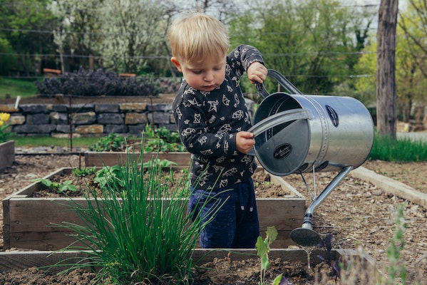 Un enfant arrosant un jardin