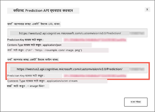 প্রেডিকশন API ডায়ালগ, যেখানে URL এবং কী দেখানো হয়েছে
