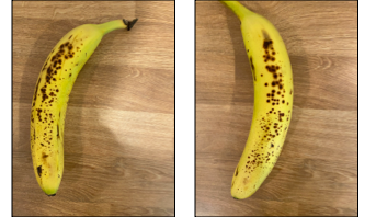 Photos of 2 different bananas