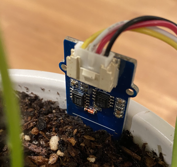 The grove soil moisture sensor in soil