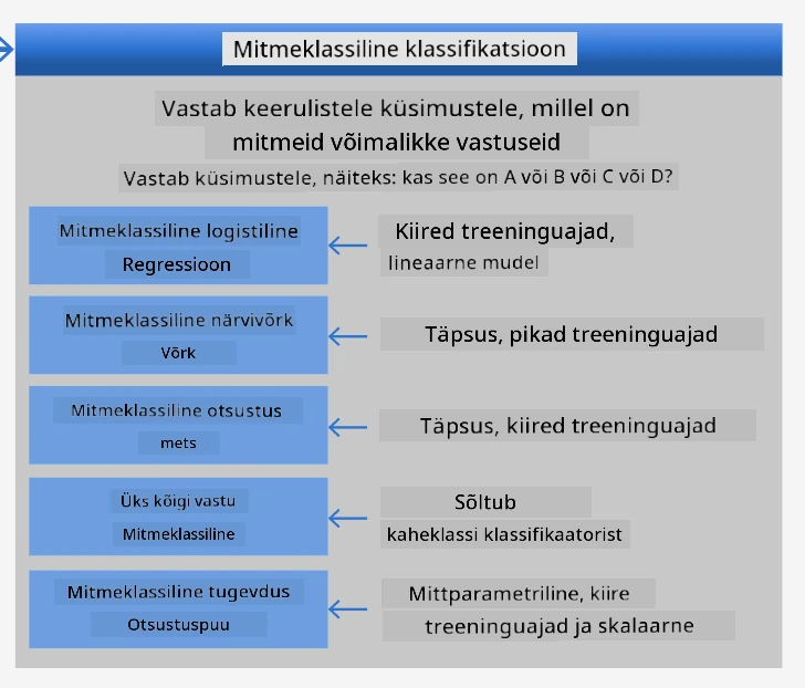 mitmeklassilise probleemi petuleht