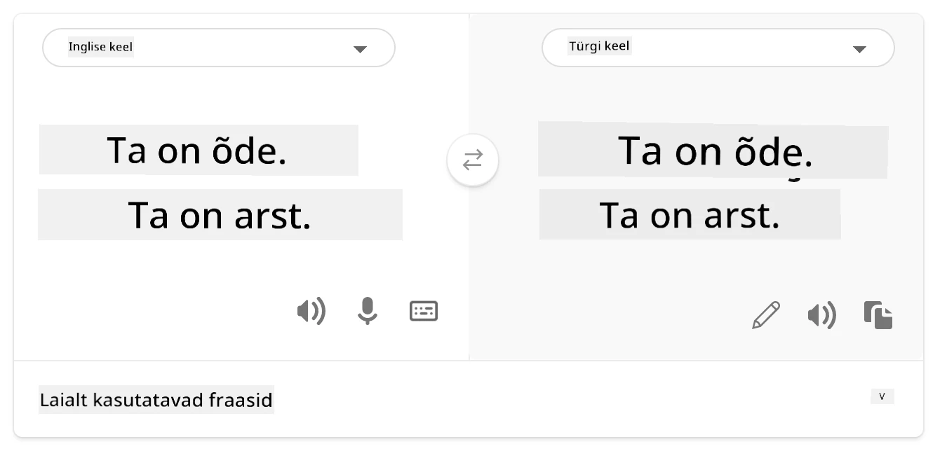 Tõlge türgi keelde