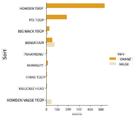 Visualiseeritud andmete ruudustik