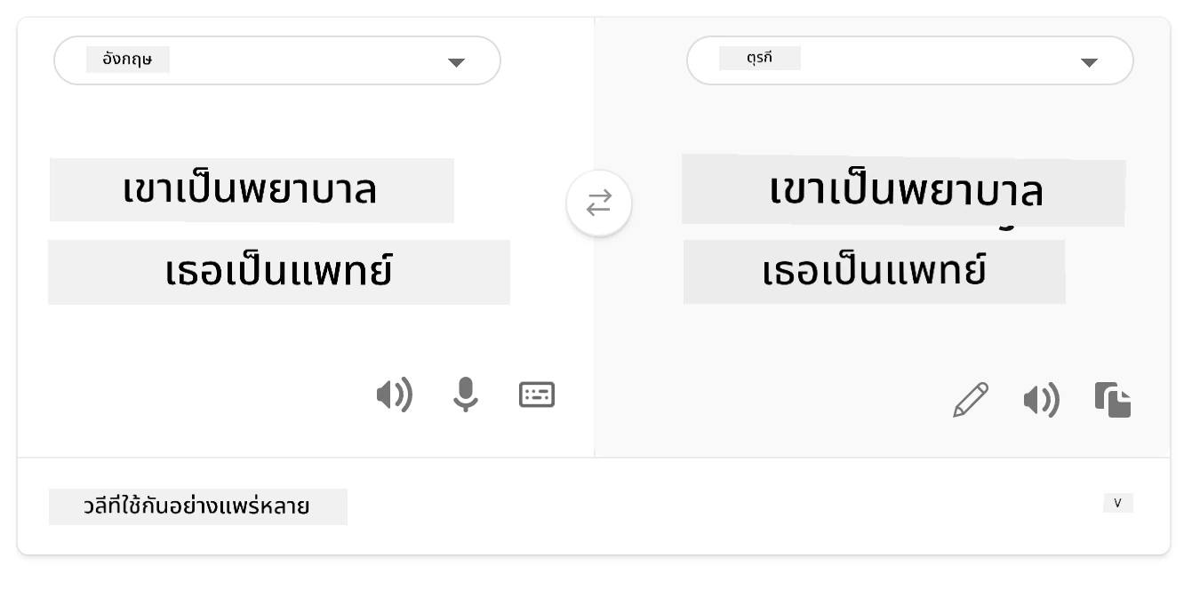 แปลเป็นภาษาตุรกี