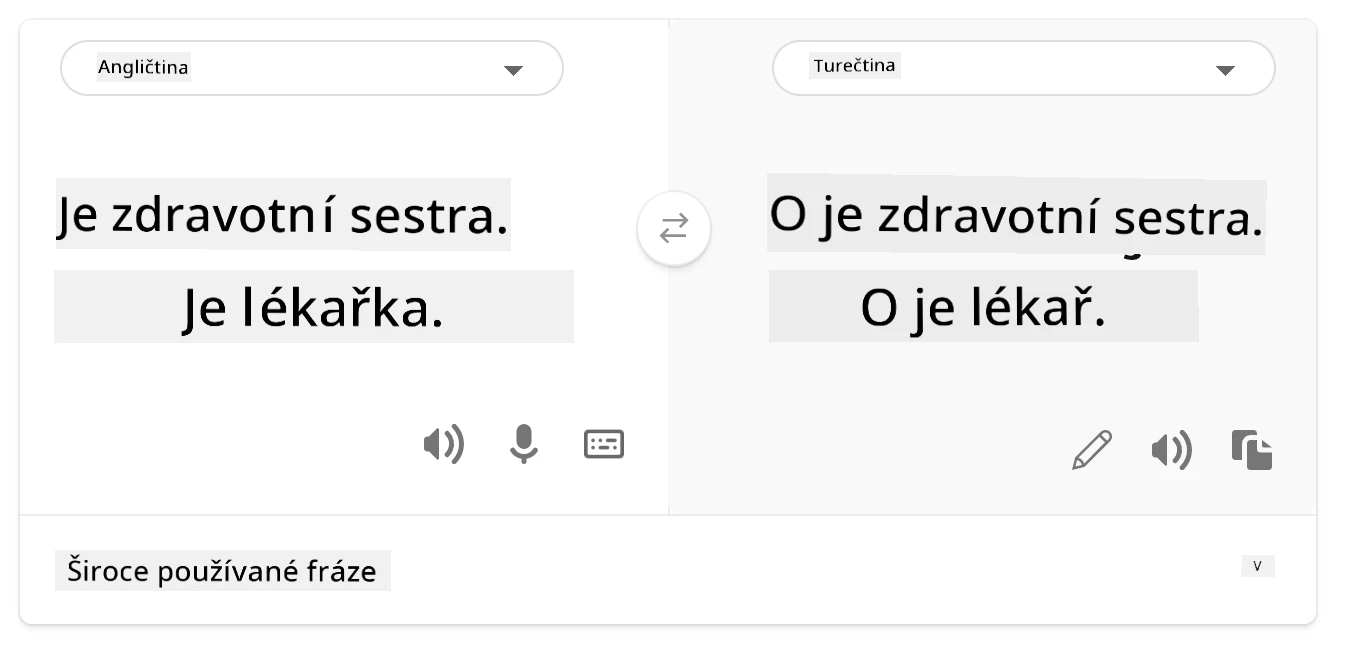 překlad do turečtiny