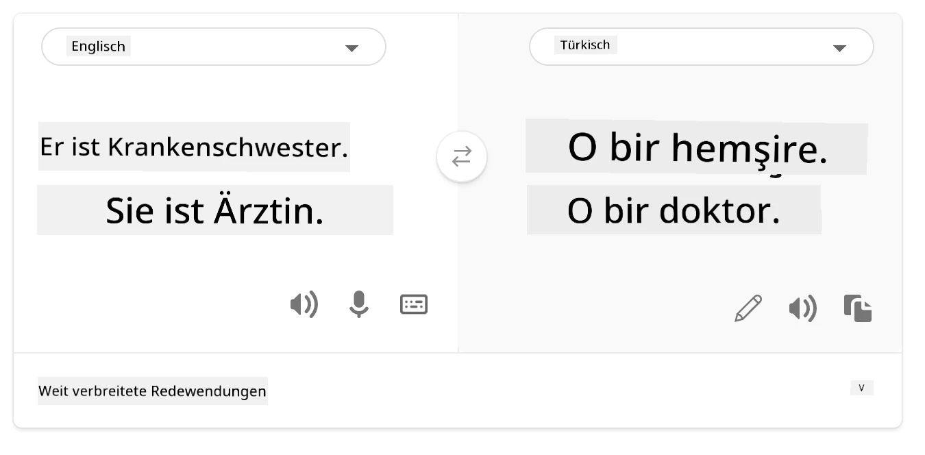 Übersetzung ins Türkische
