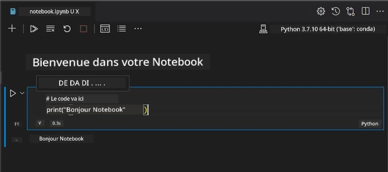 VS Code avec un notebook ouvert