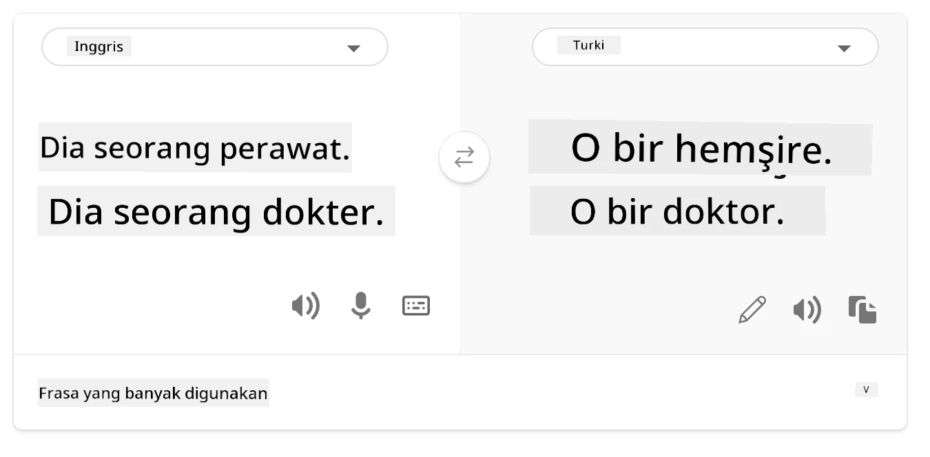 terjemahan ke bahasa Turki