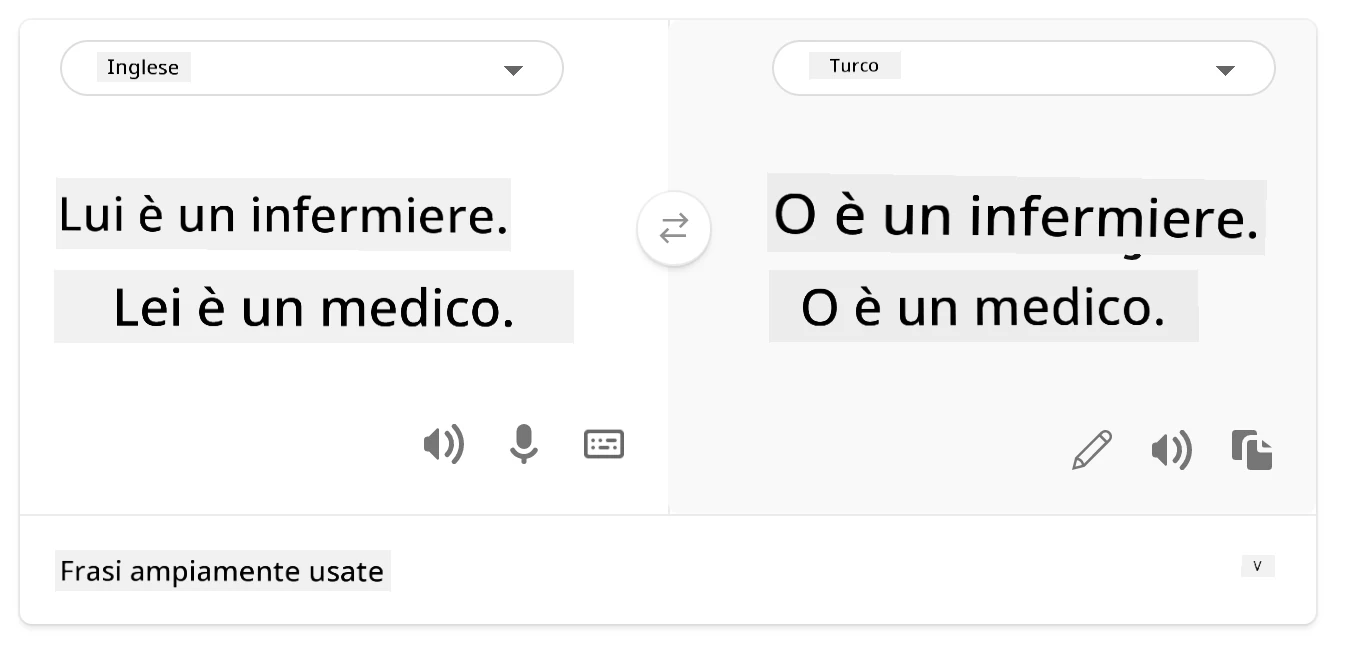 traduzione in turco