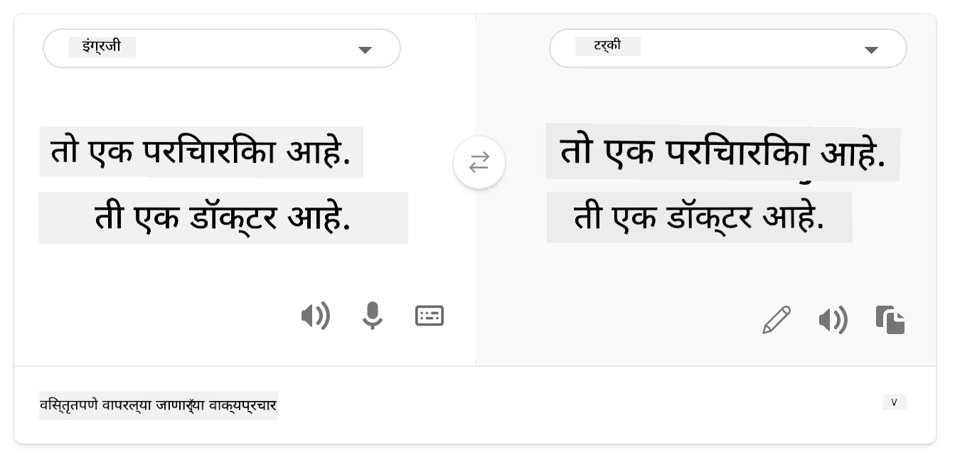 तुर्कीमध्ये भाषांतर