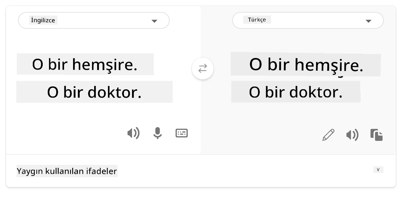 türkçeye çeviri