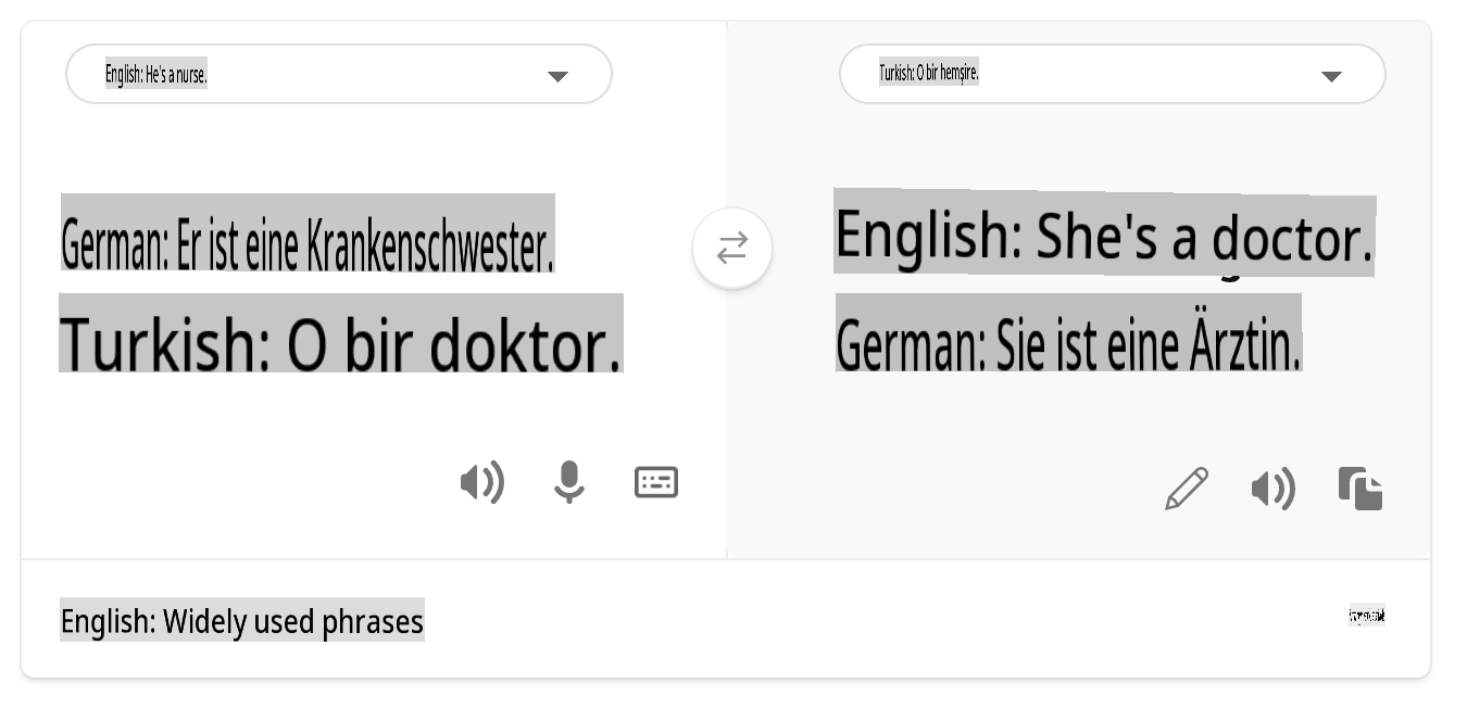 Übersetzung ins Türkische