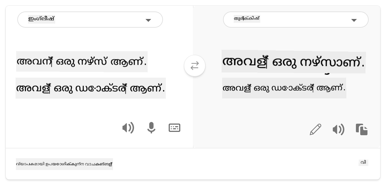 translation to Turkish