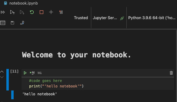 VS Code with a notebook open