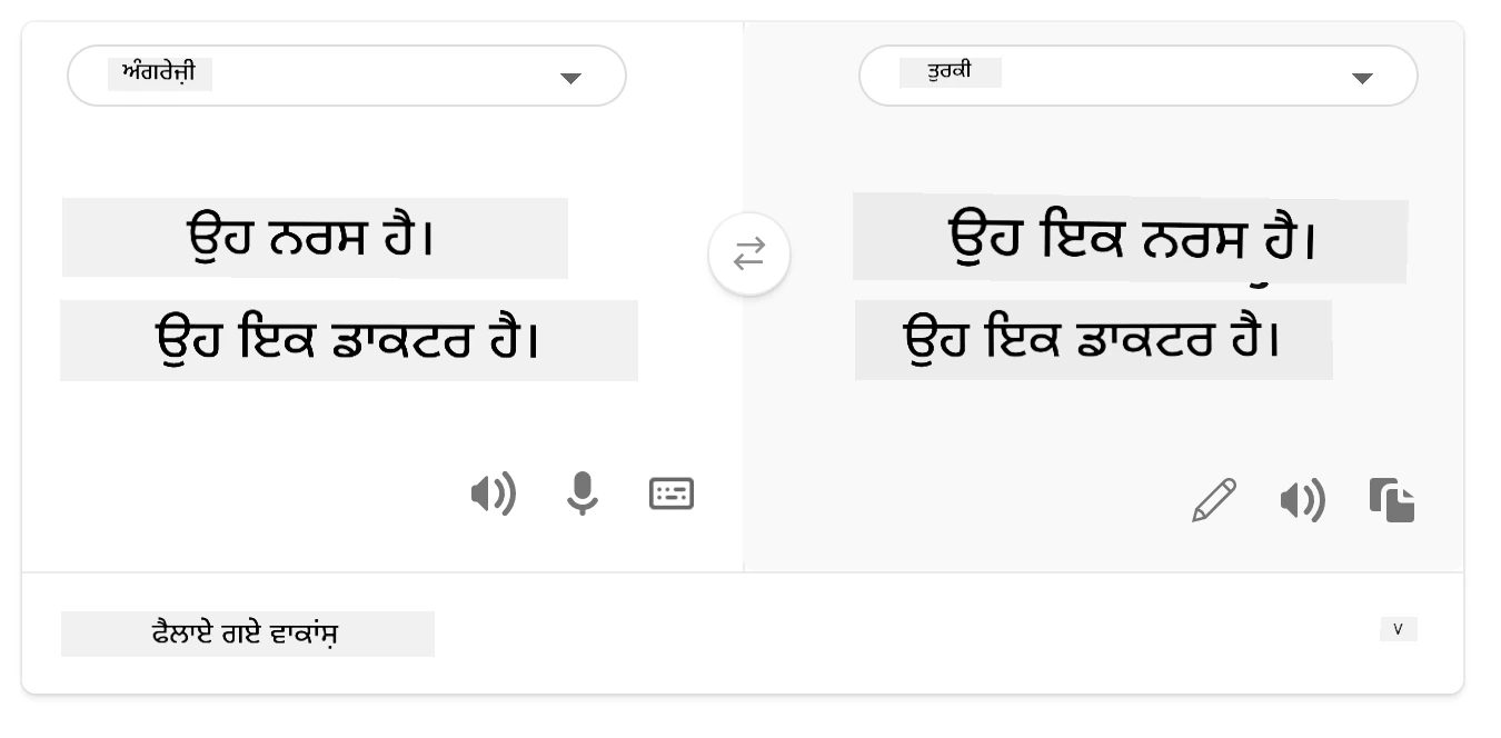 ਤੁਰਕੀ ਭਾਸ਼ਾ ਵਿੱਚ ਅਨੁਵਾਦ