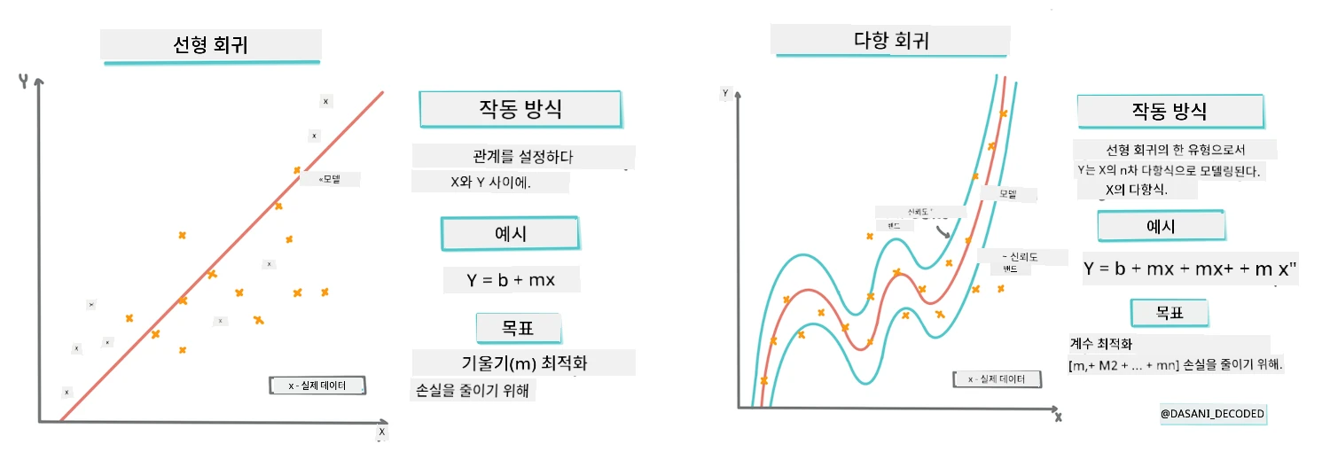 선형 대 다항 회귀 인포그래픽