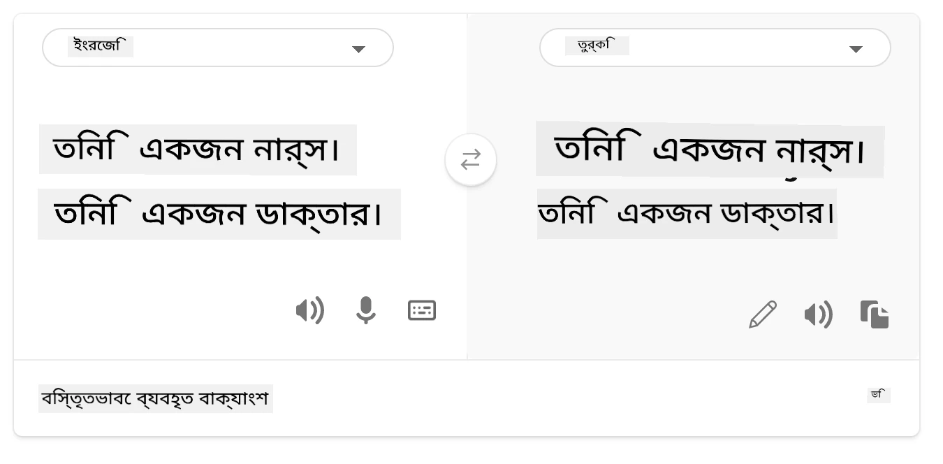 তুর্কিতে অনুবাদ